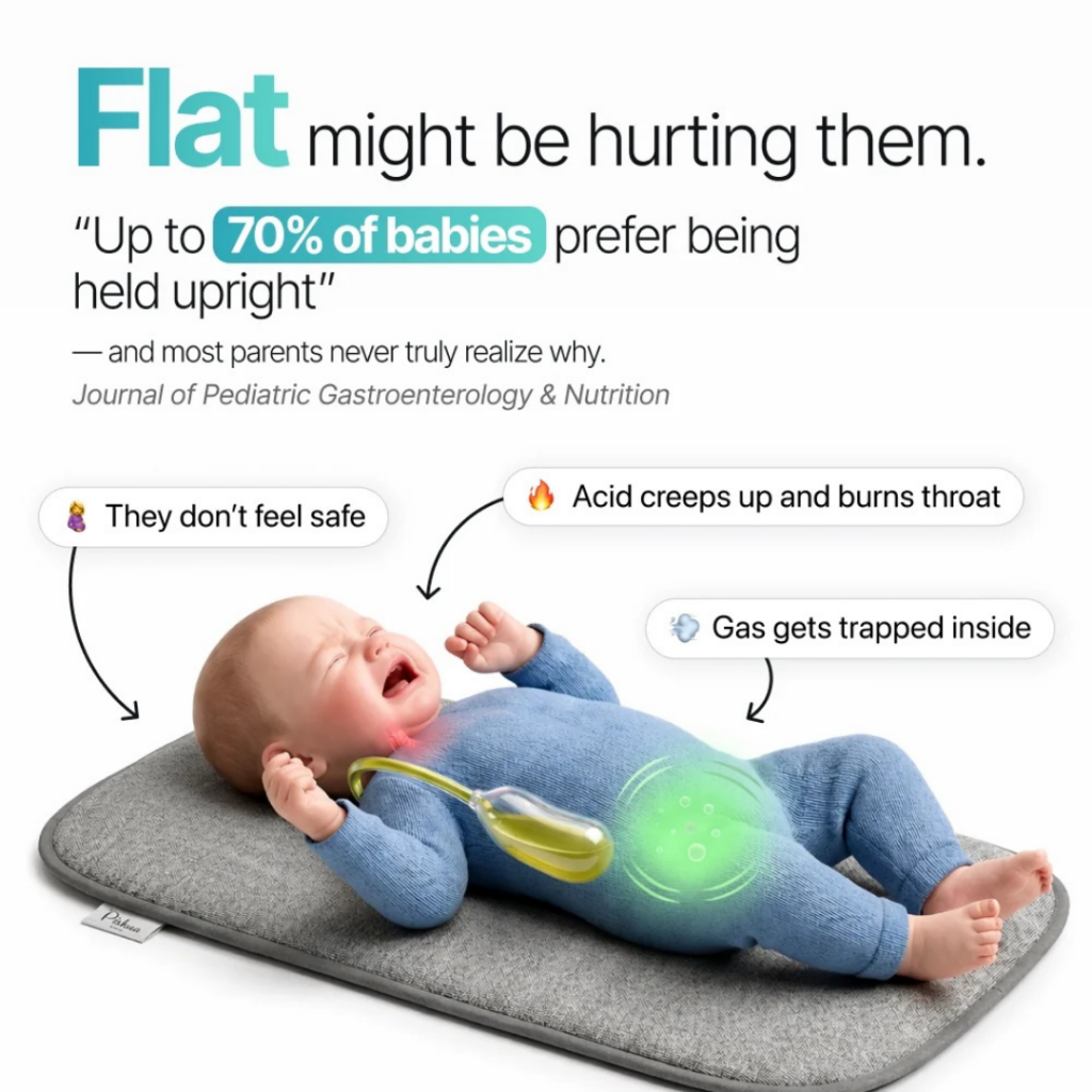 CalmNest (Official Retailer) [year]